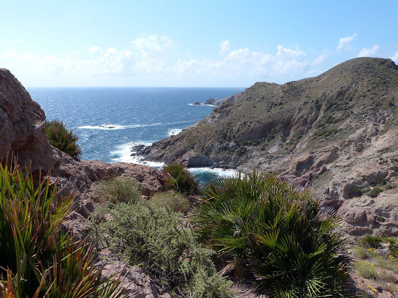La costa de Los Escullos: acantilados volcánicos, palmitos y el mar
