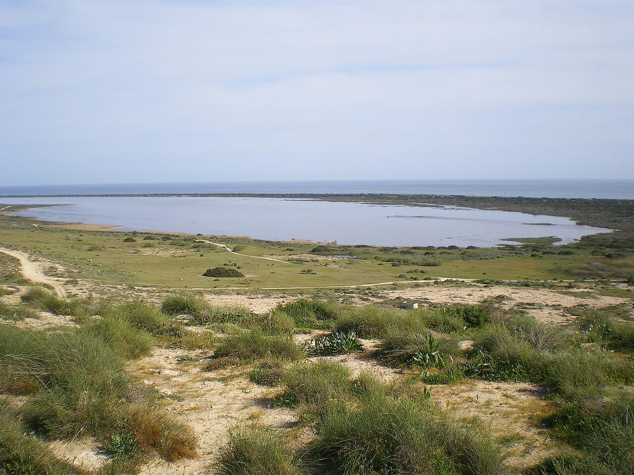 Un charcón de la Reserva Natural Punta Entinas-Sabinar, con dunas y matorral delante y el mar al fondo
